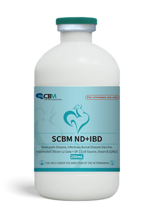 SCBM ND+IBD